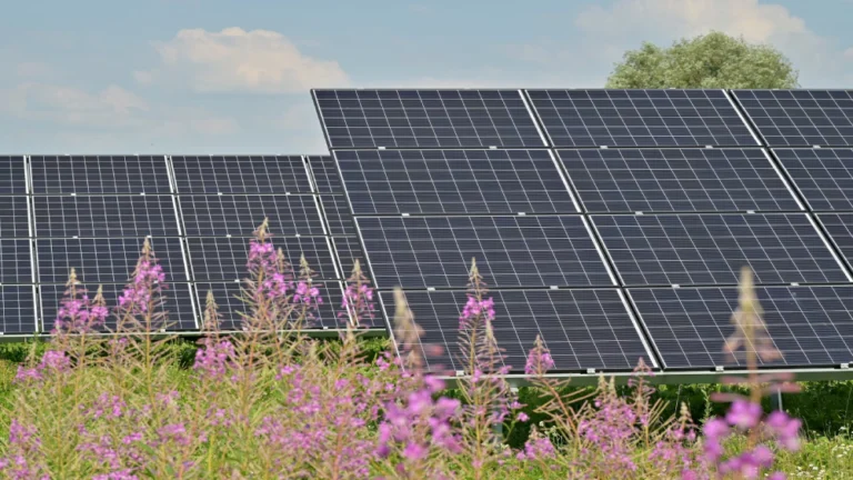 Valstybių ir tarptautinių organizacijų subsidijų įtaka saulės energetikos plėtrai